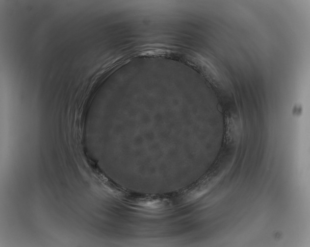 X0000097500267200802221451