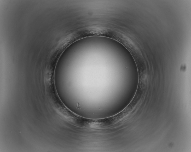 X0000097500268200802221451