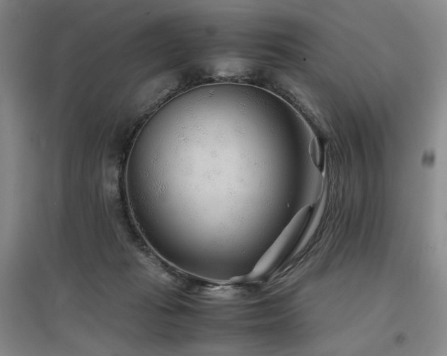 X0000097500269200802221451