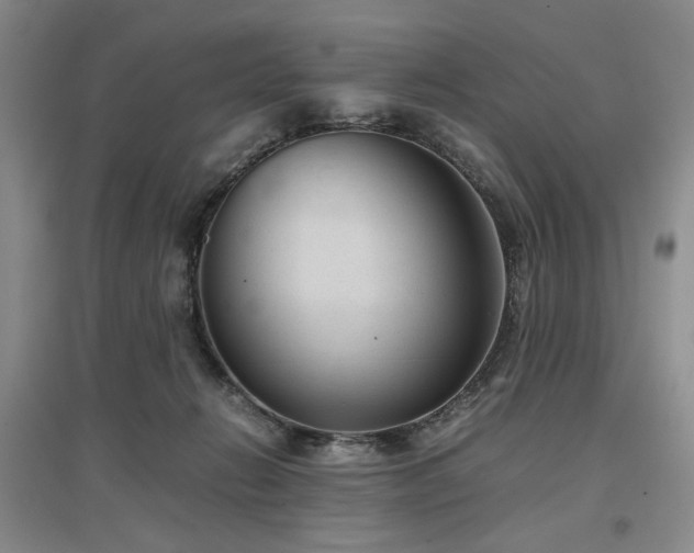 X0000097500270200802221451