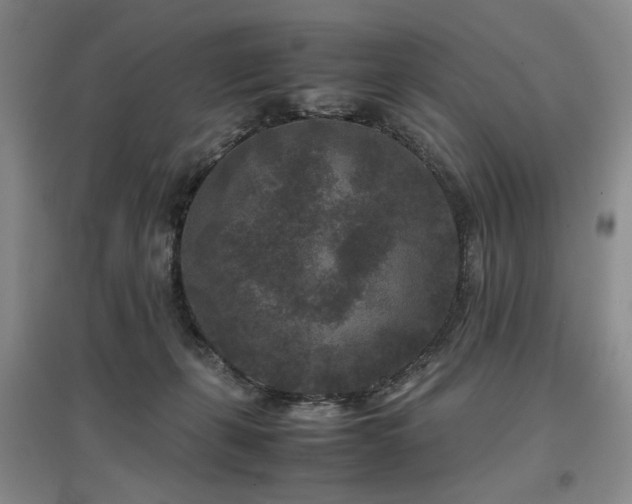 X0000097500271200802221451