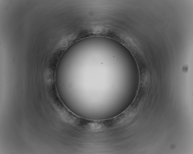 X0000097500272200802221451