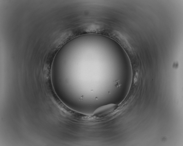 X0000097500273200802221451