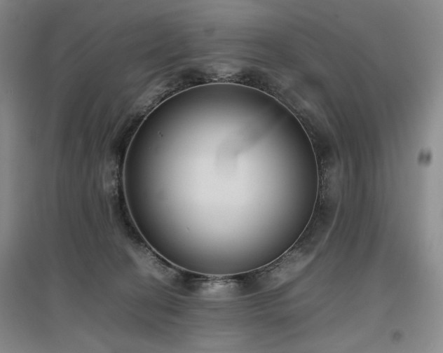 X0000097500274200802221451
