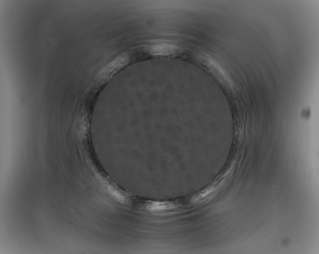 X0000097500277200802221451