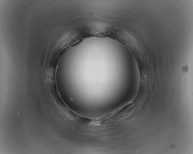 X0000097500280200802221451
