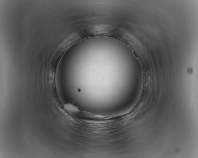 X0000097500281200802221451