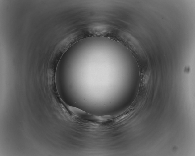 X0000097500283200802221451