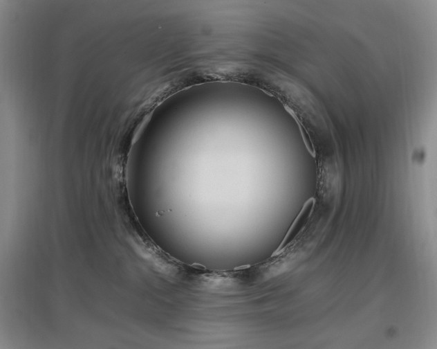 X0000097500284200802221451