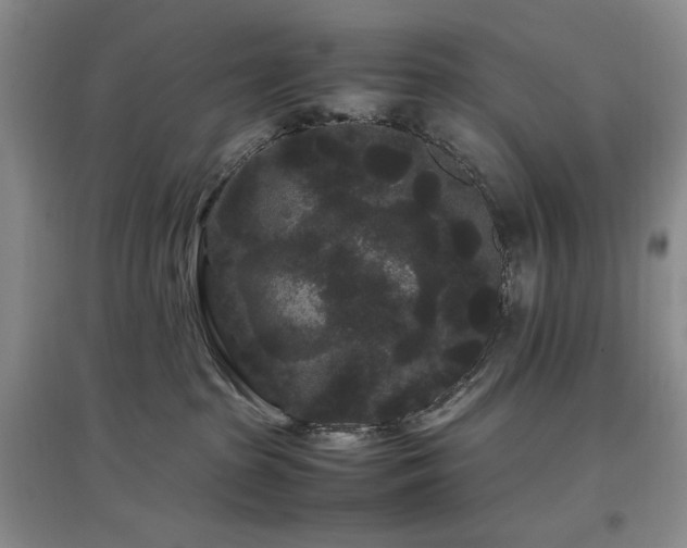 X0000097500285200802221451