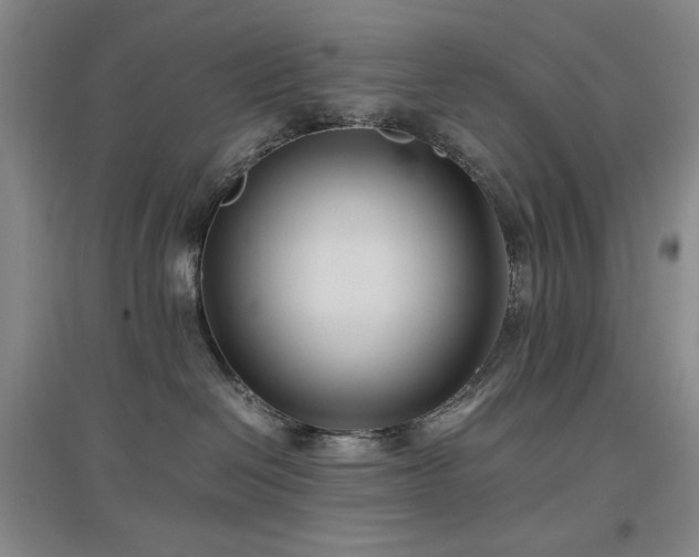 X0000097500286200802221451