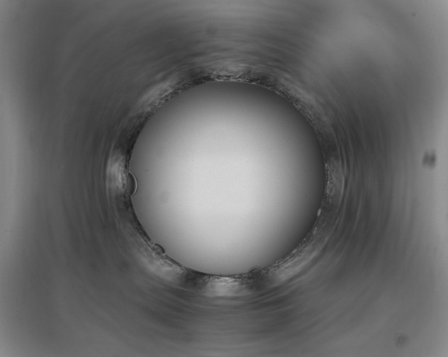 X0000097500287200802221451