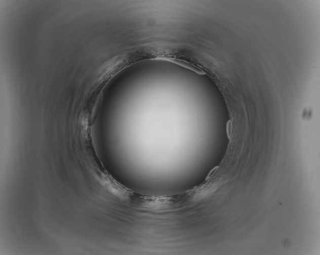 X0000097500288200802221451