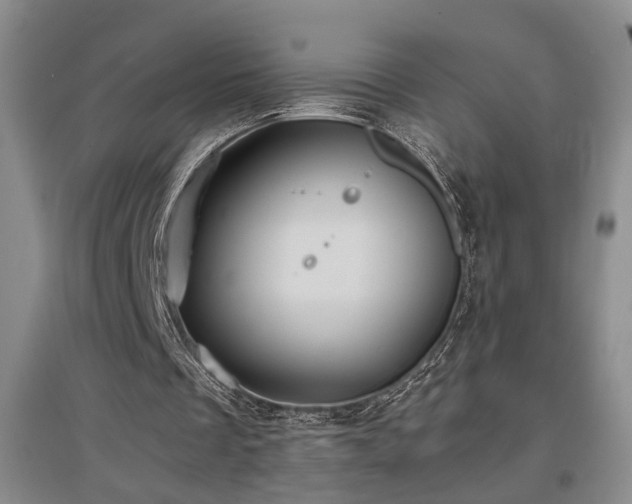 X0000097500289200802221450
