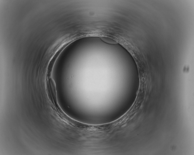 X0000097500290200802221450