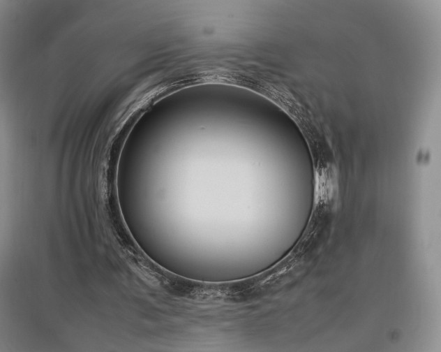 X0000097500291200802221450