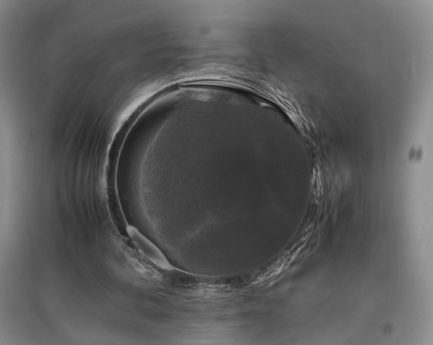 X0000097500292200802221450