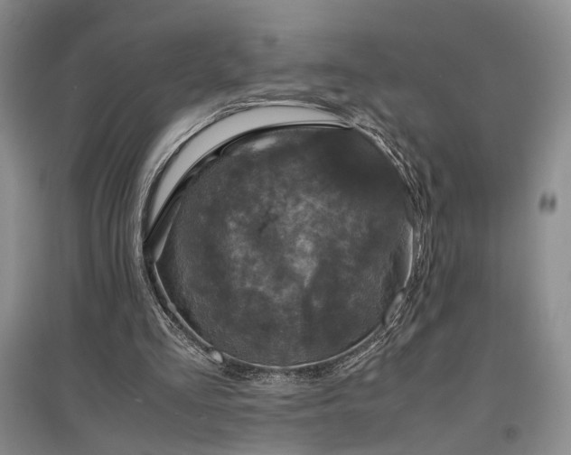X0000097500293200802221450