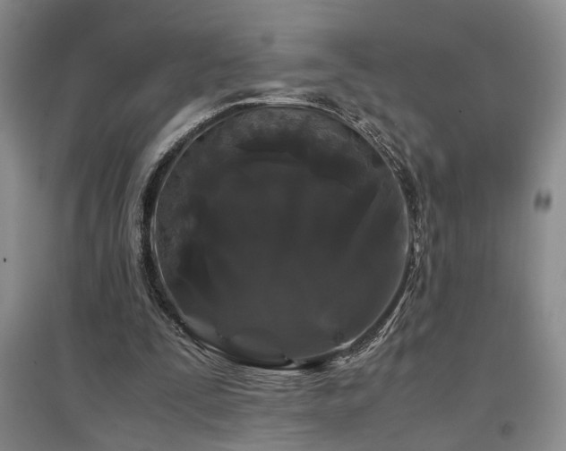 X0000097500295200802221450