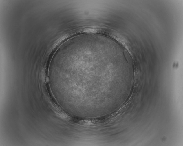 X0000097500297200802221450