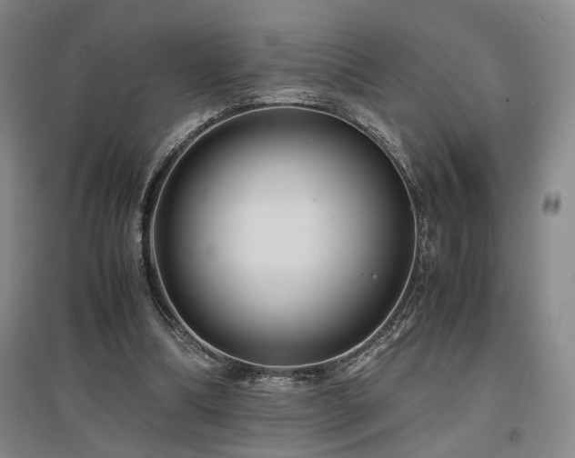 X0000097500298200802221450