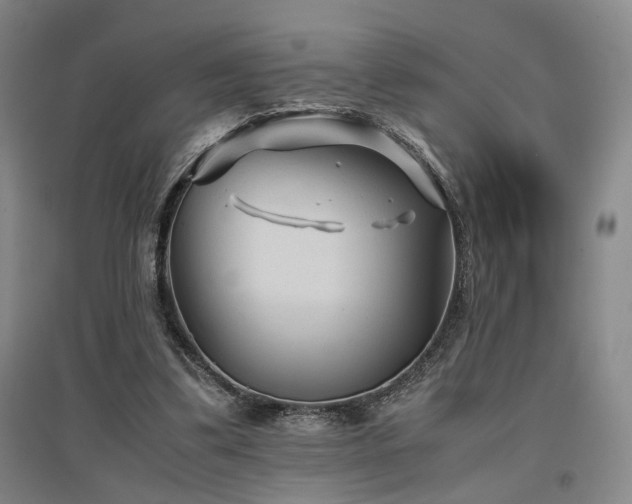 X0000097500299200802221450
