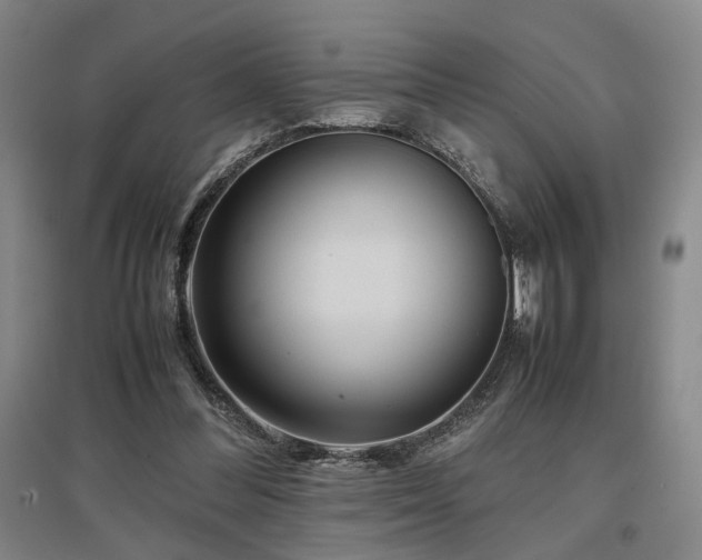 X0000097500300200802221450