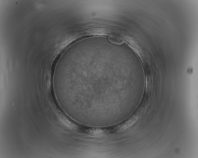 X0000097500301200802221450