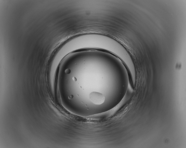 X0000097500302200802221450