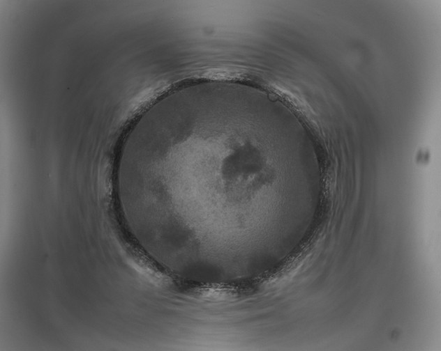 X0000097500303200802221450