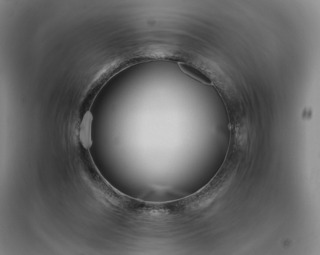X0000097500304200802221450