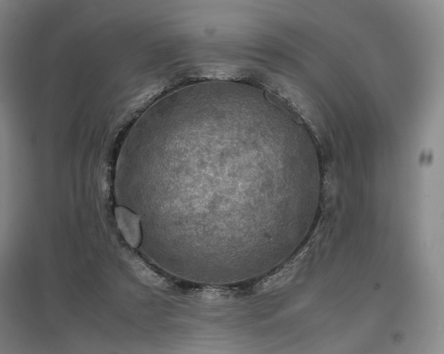 X0000097500305200802221450