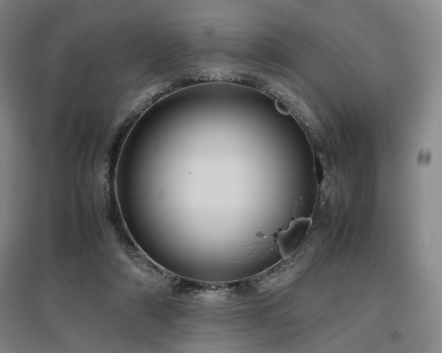 X0000097500306200802221450
