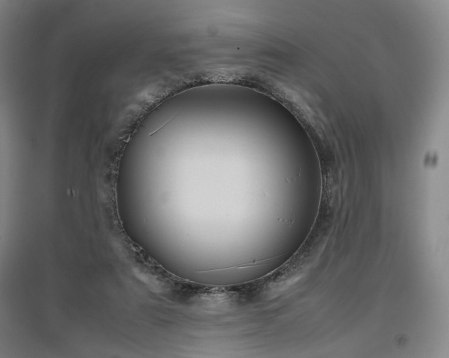 X0000097500307200802221450