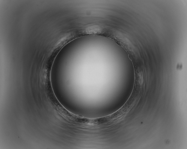 X0000097500308200802221450