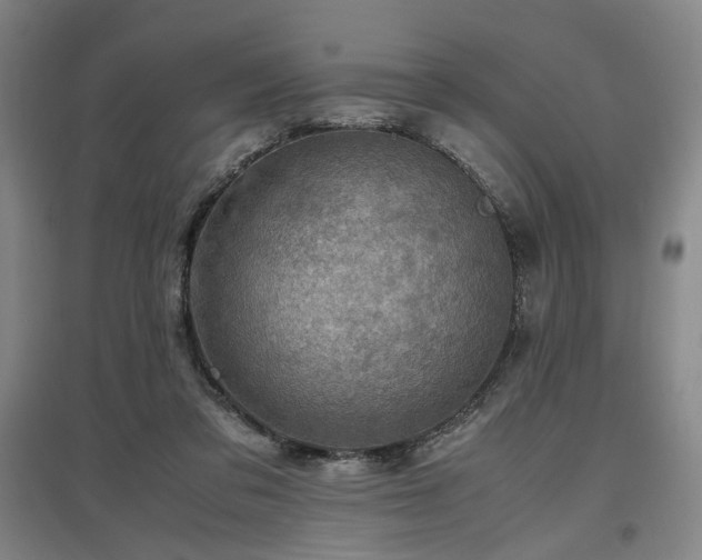 X0000097500309200802221450