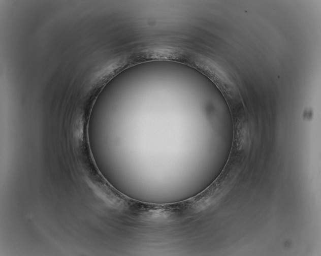 X0000097500310200802221450