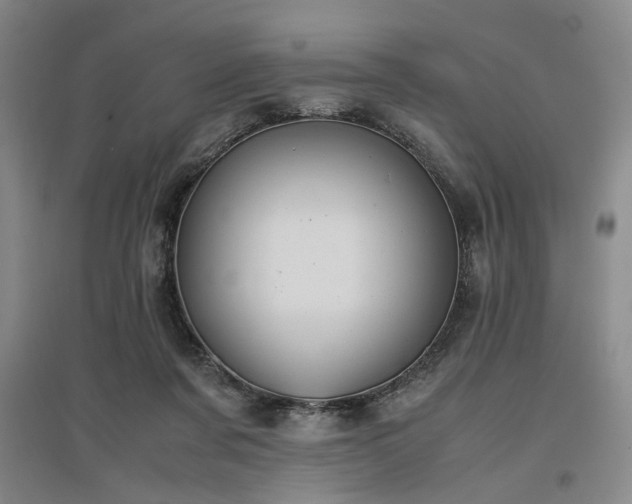 X0000097500311200802221450