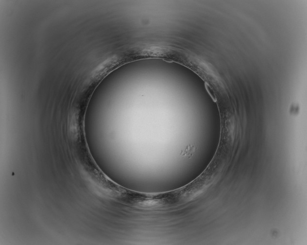 X0000097500312200802221450