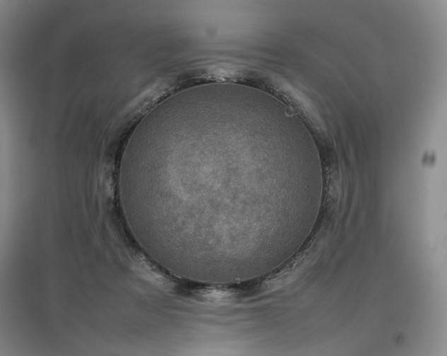 X0000097500313200802221450