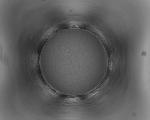 X0000097500314200802221450