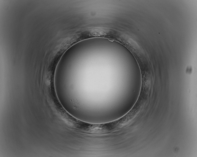 X0000097500315200802221450
