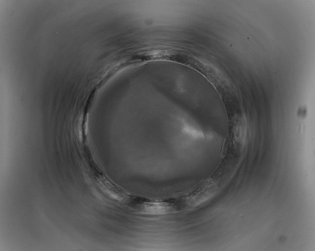 X0000097500316200802221450