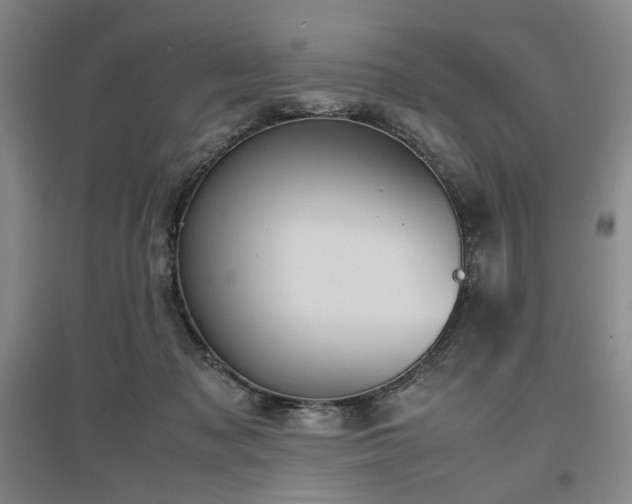 X0000097500317200802221450