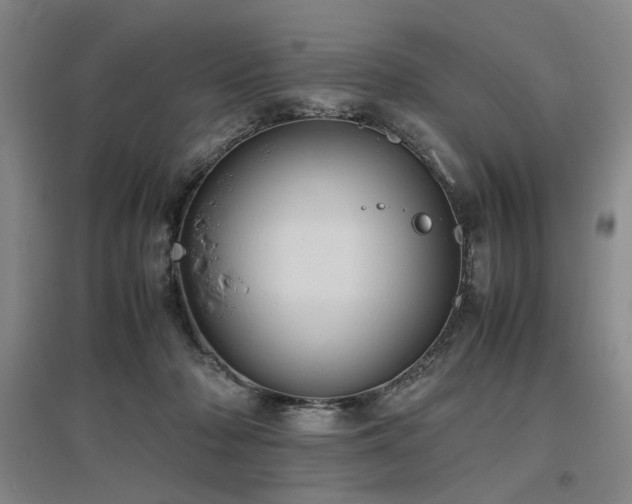 X0000097500318200802221450