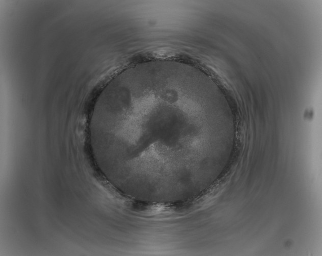 X0000097500319200802221450