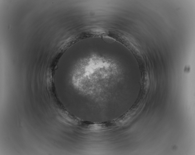 X0000097500320200802221450
