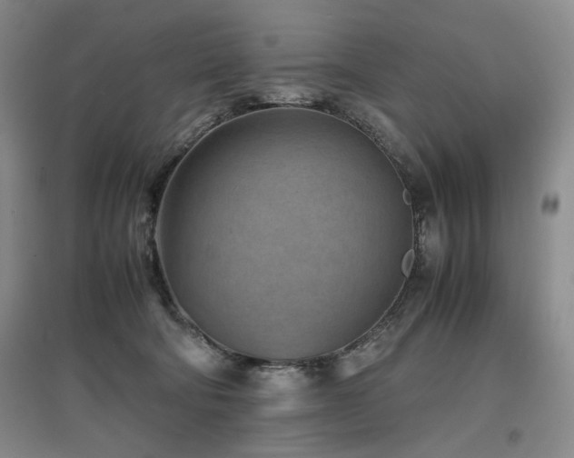 X0000097500322200802221450