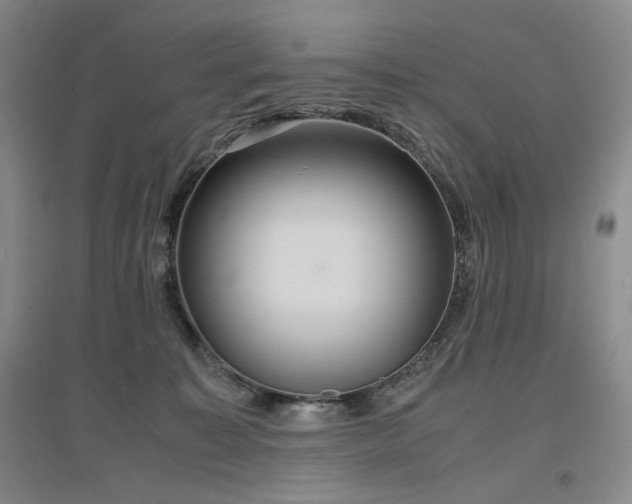 X0000097500323200802221450