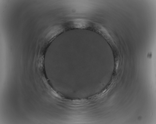 X0000097500325200802221450